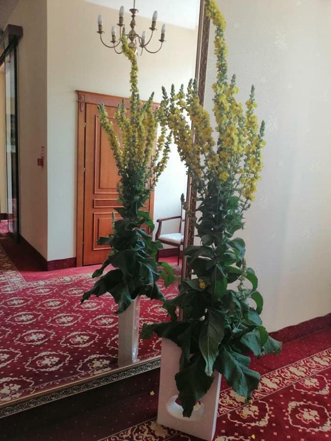 Hotel פלוק מראה חיצוני תמונה